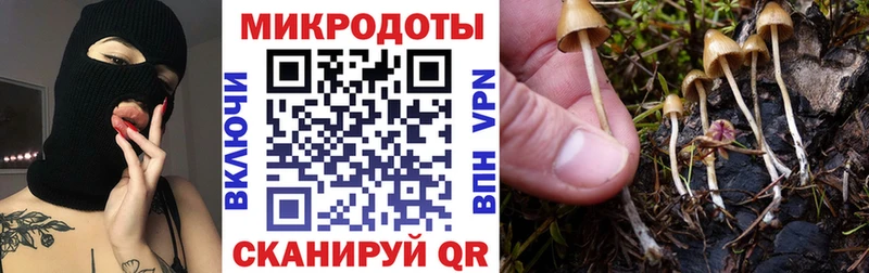 Галлюциногенные грибы мухоморы  кракен ССЫЛКА  Устюжна  купить наркоту 